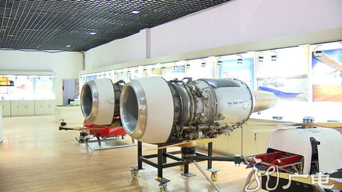 黑龙江 做强产业链 做精内循环