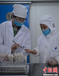 探访航空食品厂