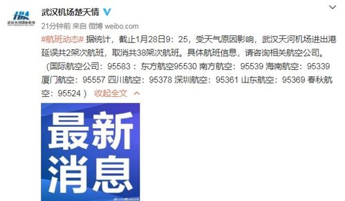 受天气影响,武汉天河机场部分航班取消