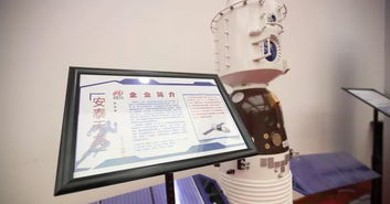 宝坻造 的这些产品,全国出名了