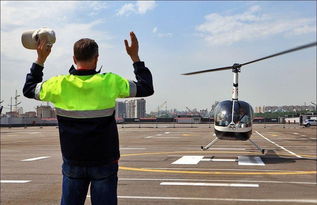 航空信息咨询 看准网如何助力您的航空职业发展与行业认知