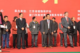 克胜集团 引领航空信息咨询新纪元